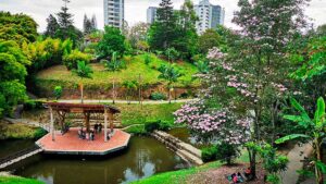 Parque de la Vida en Armenia